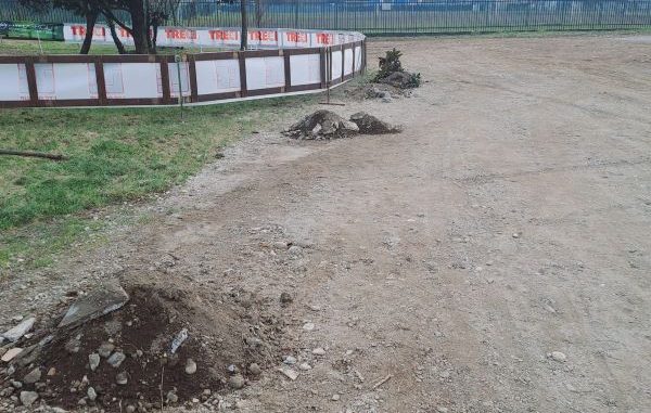 sangiorgiosulegnano campaccio rifiuti vandali