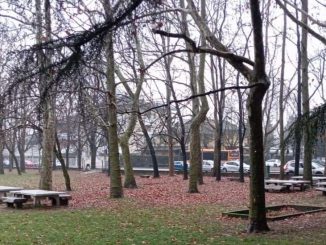 legnano parco robinson canazza