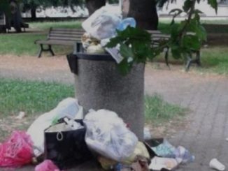 rifiuti cestini igiene urbana