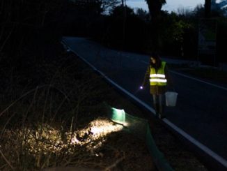 sesto volontari anfibi strada