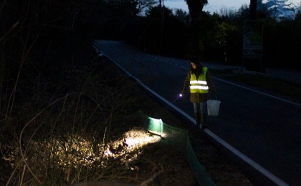 sesto volontari anfibi strada