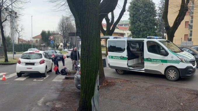 Gallarate donna investita cani