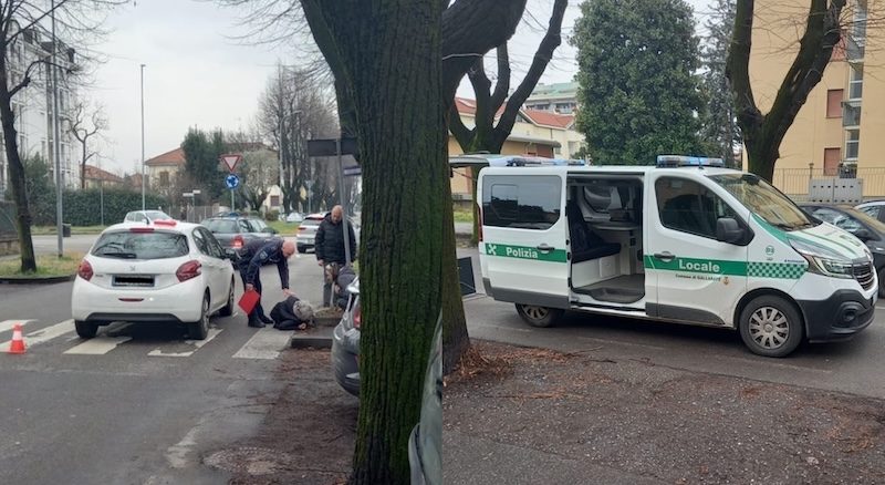 Gallarate donna investita cani
