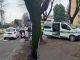 Gallarate donna investita cani