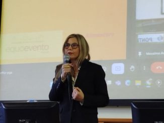 Gadda ponti Gallarate spreco