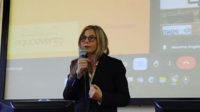 Gadda ponti Gallarate spreco