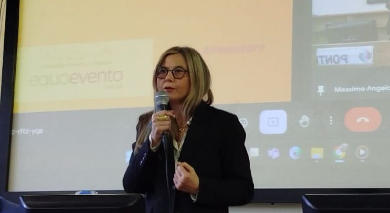 Gadda ponti Gallarate spreco