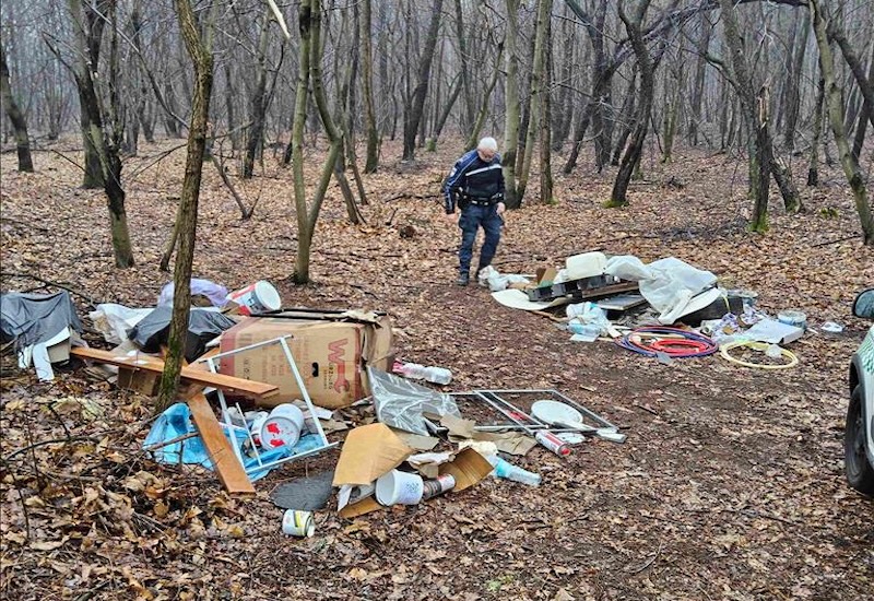 gallarate elettrauto rifiuti bosco