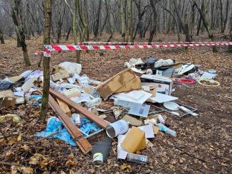 gallarate elettrauto rifiuti bosco