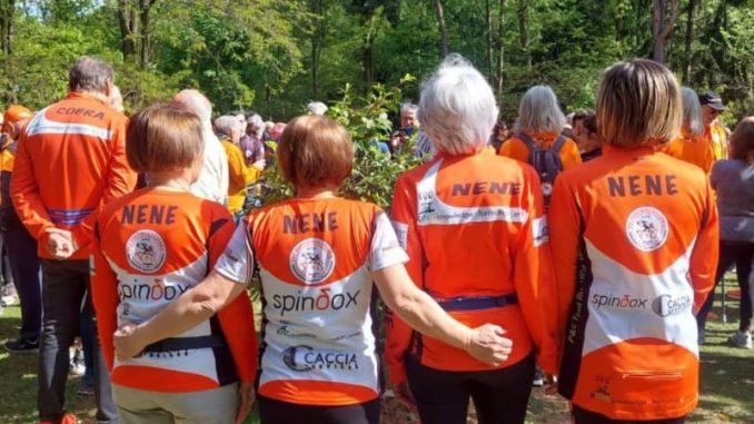 Olgiate aranciolona corsa viabilità
