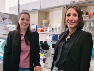fondazione cariplo ricerca insubria