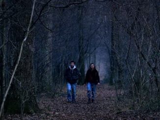 saronno horror cinema strega 02