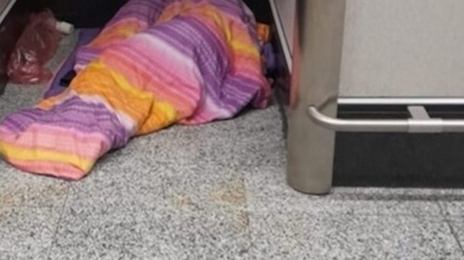 malpensa clochard lettera