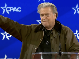bannon musk lattuada