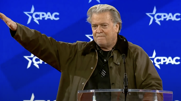 bannon musk lattuada