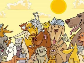 sumirago volontari tutela animali