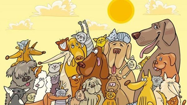 sumirago volontari tutela animali
