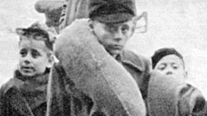 travedona giuliano dalmati documentario 01