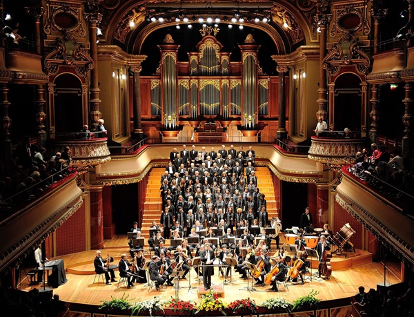 Amadeus Orchestra