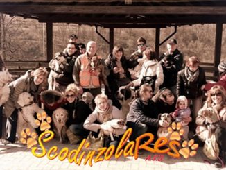rescaldina animali polizialocale scodinzolares