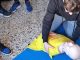 legnano scuole primosoccorso formazione