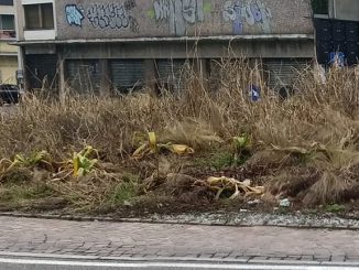 sanvittoreolona strade buche rotonda carbonaia