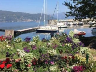 ispra infiorita evento annullato