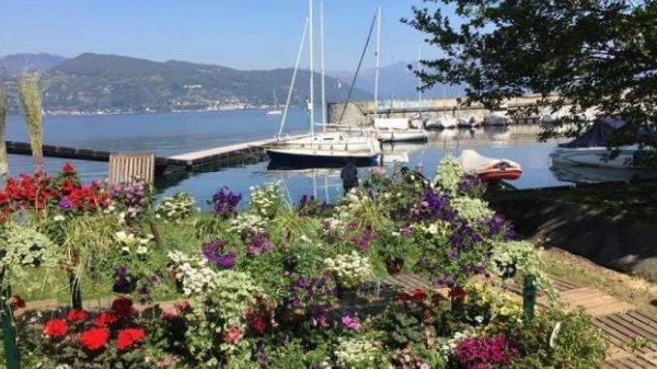 ispra infiorita evento annullato