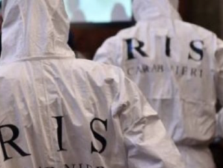 ris di parma
