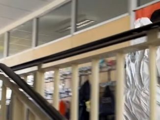 Gallarate virus mensa epidemia