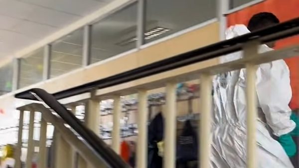 Gallarate virus mensa epidemia