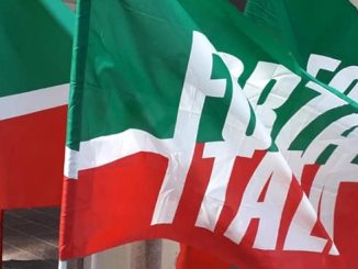 forza italia provincia varese
