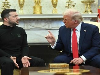 bottini meloni trump