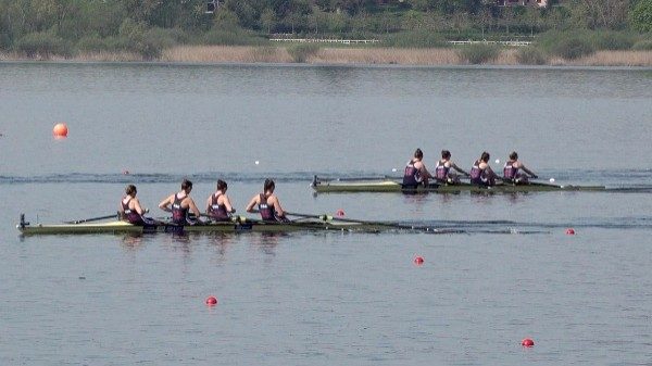 canottaggio the same boat