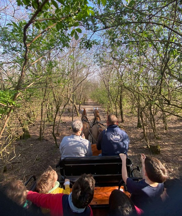 carrozza parco altomilanese
