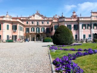 comune varese cerca dirigente