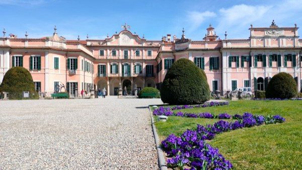 comune varese cerca dirigente
