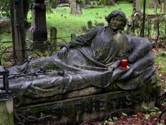 insubria cimitero viggiu museo