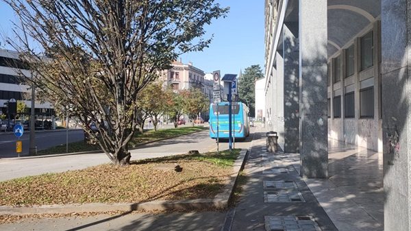 largo Tosi Legnano