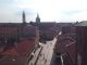 magenta panorama