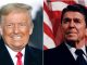 pellerin dazi trump reagan
