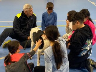 viggiu pet therapy scuola