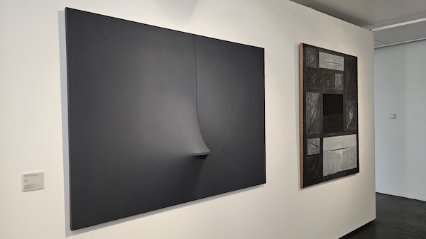 Maga mostra premio gallarate
