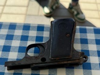 cerromaggiore pulizia boschi pistola