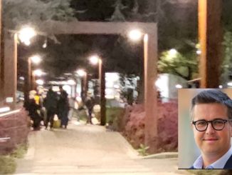 Gallarate ordinanza anti maranza