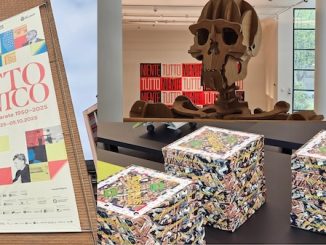 Maga mostra premio gallarate