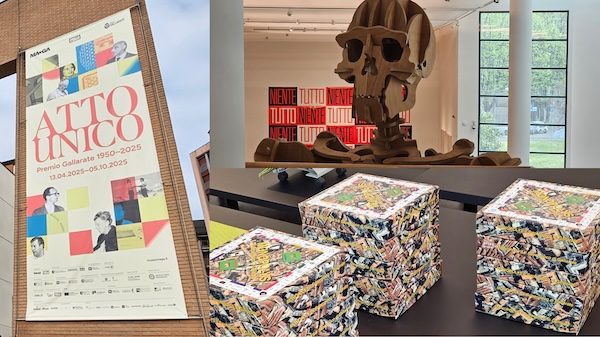 Maga mostra premio gallarate