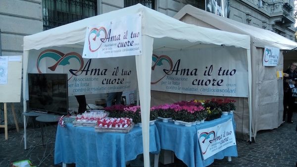 gallarate ama tuo cuore