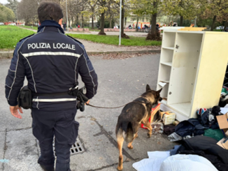 polizialocale controlli-anti droga cane