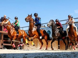 legnano palio corse addestramento
